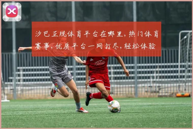 沙巴正规体育平台在哪里,热门体育赛事,优质平台一网打尽,轻松体验
