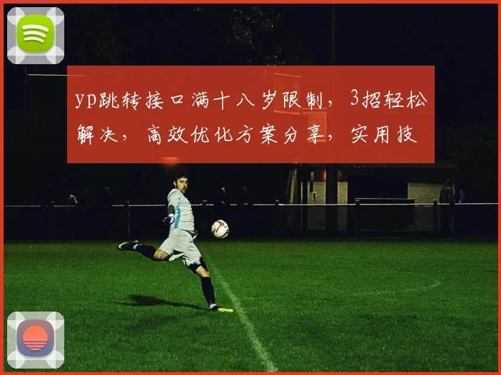 yp跳转接口满十八岁限制，3招轻松解决，高效优化方案分享，实用技巧大揭秘，必看