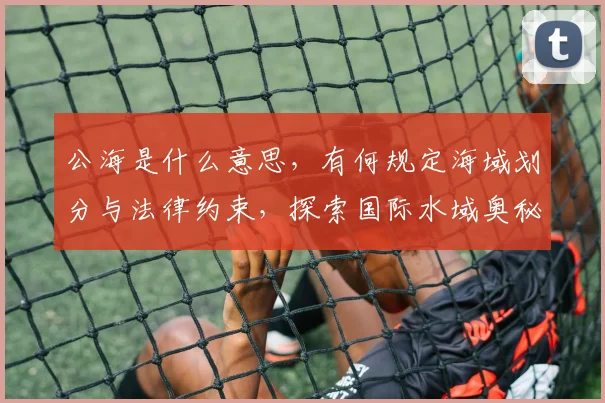 公海是什么意思，有何规定海域划分与法律约束，探索国际水域奥秘