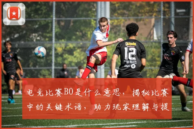 电竞比赛BO是什么意思，揭秘比赛中的关键术语，助力玩家理解与提升